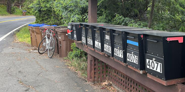 Mailboxesbefore Before: no mail in any of the boxes. (yes, my bicycle in the background)